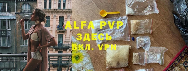 гашик Арсеньев