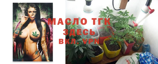 гашик Арсеньев