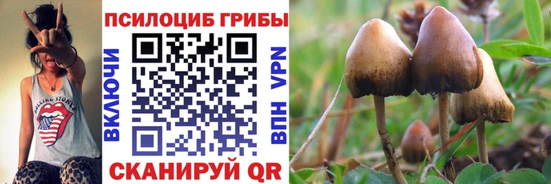 закладки  кракен ссылки  Галлюциногенные грибы MAGIC MUSHROOMS  Тейково 